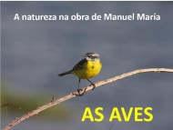 Manuel María: a natureza, as aves